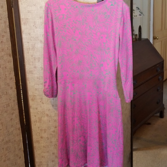 Lilly Pulitzer dress - Picture 6 of 8